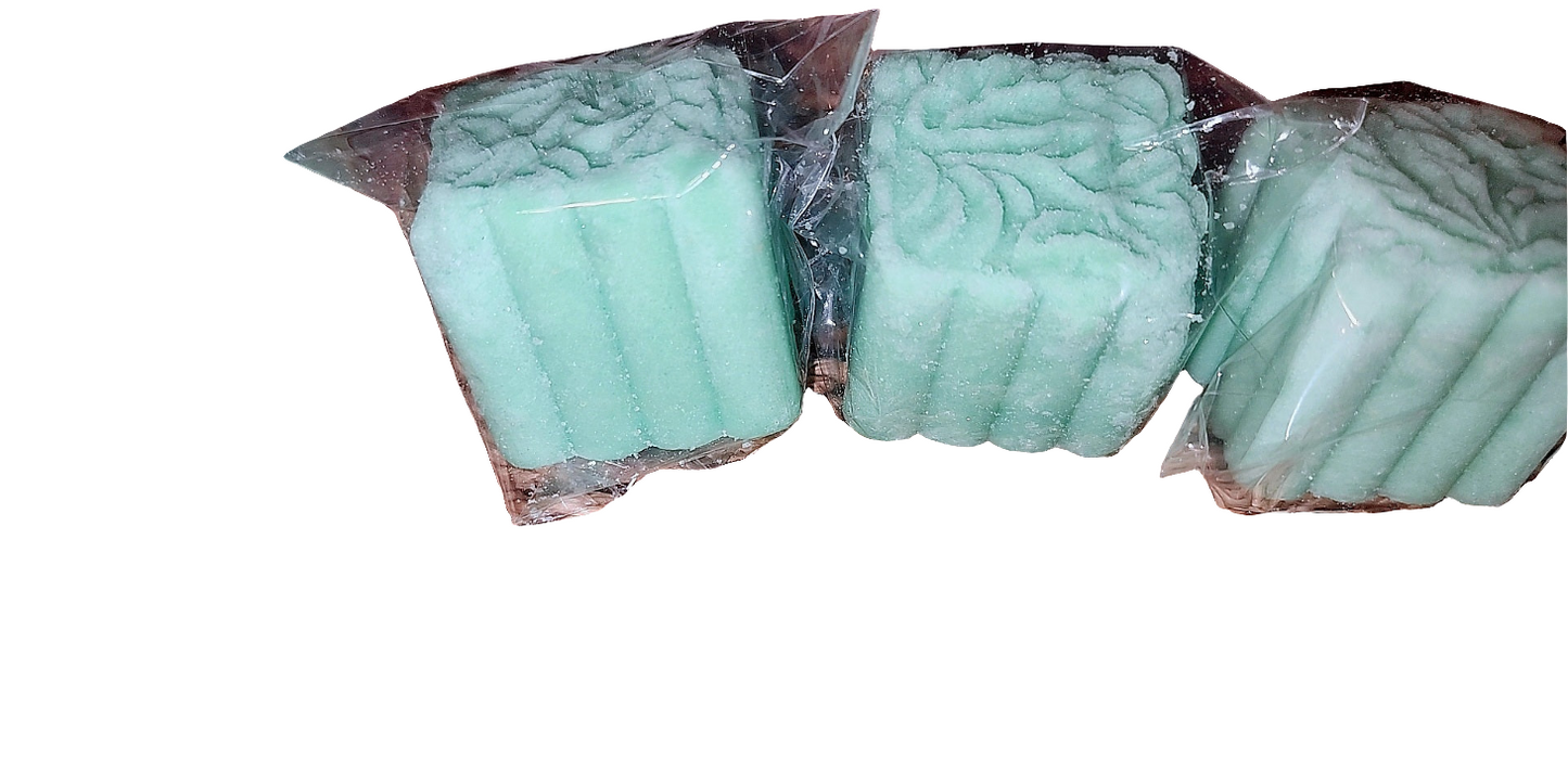 LEMONGRASS MINT SHOWER STEAMERS