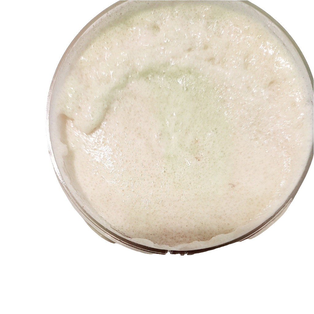 LES TROPICAL SUGAR SCRUB